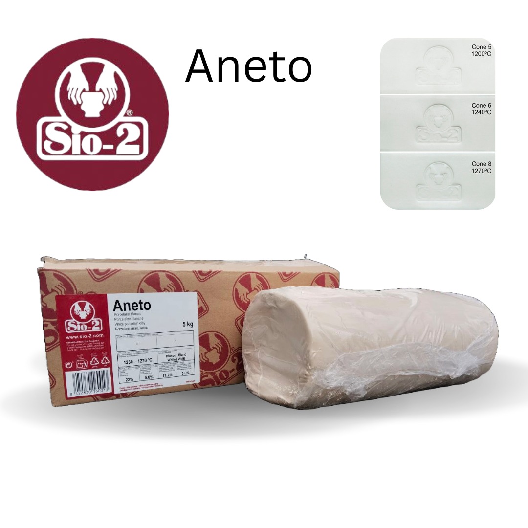 Aneto VSCLS010