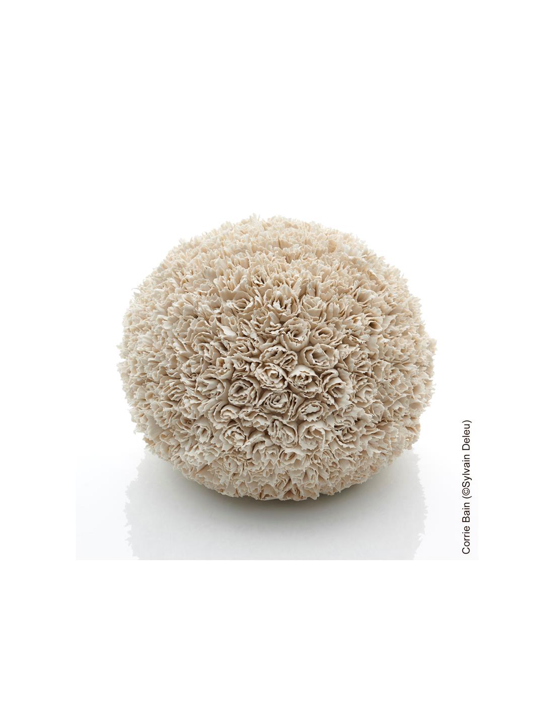 aneto white porcelain